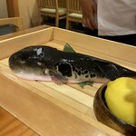 とらふぐ専門 ふぐ中俣 - 