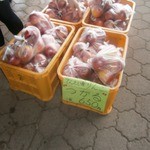 道の駅 羽鳥湖高原 - 店頭にて②