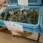 道の駅 羽鳥湖高原 - 店内①