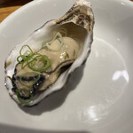 OYSTERS,INC. - 