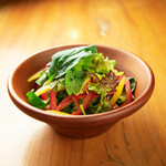 Farm-fresh vegetable insalata ~Homemade dressing~