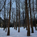 レストラン・モリエール - 