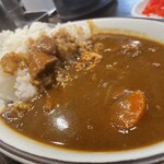 豚骨ソバ かなえ - カレー表情。シャバ系ながらその奥深さは逸品