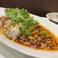 豊栄 - 真鯛