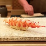 鮨 冨味 - 車海老