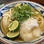 丸亀製麺 横須賀野比店 - すだちおろし冷かけ並520円
