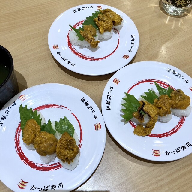 かっぱ寿司 十和田店 - 十和田市（回転寿司）の写真