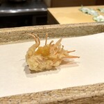 日本橋 蕎ノ字 - 車えび 頭 1