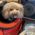 THE NUTS EXCHANGE - 水をがぶ飲みした直後ｗ