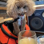 THE NUTS EXCHANGE - お腹が空いてる？ｗ喉が渇いてたらしく、水をがぶ飲みｗ