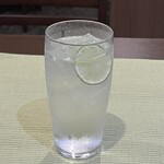 gin and tonic