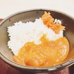 nanjousa-bisueriakudarinanjoufu-doko-to - ミニカレー