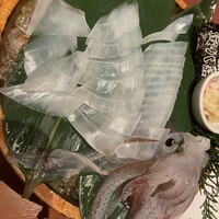 寅八商店 心斎橋店 -  寅八商店 心斎橋店 -