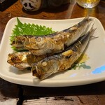 214881373 - 潤目鰯丸干し（薄塩）