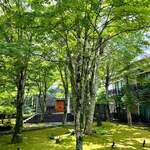 Kyukaruizawa KIKYO Curio Collection by Hilton