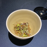 セルサルサーレ - 