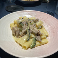 セルサルサーレ - 