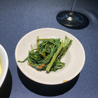 セルサルサーレ - 