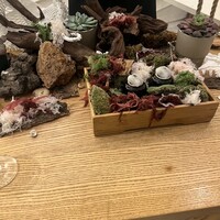 ENEKO Tokyo - 