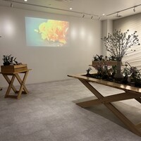 ENEKO Tokyo - 