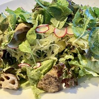 ワカヌイ グリル ダイニング バー 東京 - 季節野菜のグリーンサラダ　グリーンマスタードドレッシング