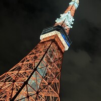 ワカヌイ グリル ダイニング バー 東京 - 東京タワー