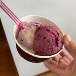 ミルティーロ - 