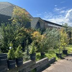 カイマナリオ - 