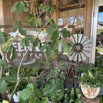 カイマナリオ - 