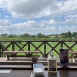 ミルティーロ - 店内からブルーベリーを望む