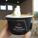 Funari GELATERIA - 胡桃＆ナッツ（コーヒー）✕キウイヨーグルト（ダブル）700円