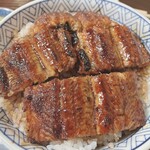 Unagi No Shimpo - 