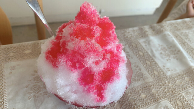 とがし - 藤島（その他）の写真