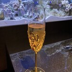 新宿 アクアリウムダイニング JeMare - 