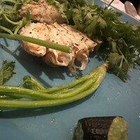 イリエスケープ - 