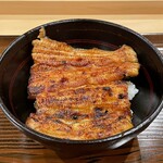Seirin - 鰻丼