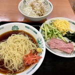 Hidakaya - 「黒酢しょうゆ冷し麺」600円也。「細切りネギ」140円也。税込。