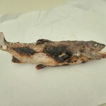 白糸の滝売店 - ヤマメ塩焼き