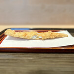 てんぷら 近藤 - ☆穴子（神奈川・小柴）