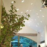 マールブランシュ - 