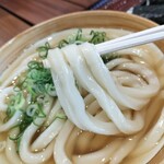 Sanuki Udon Ibukiya Seimen - 