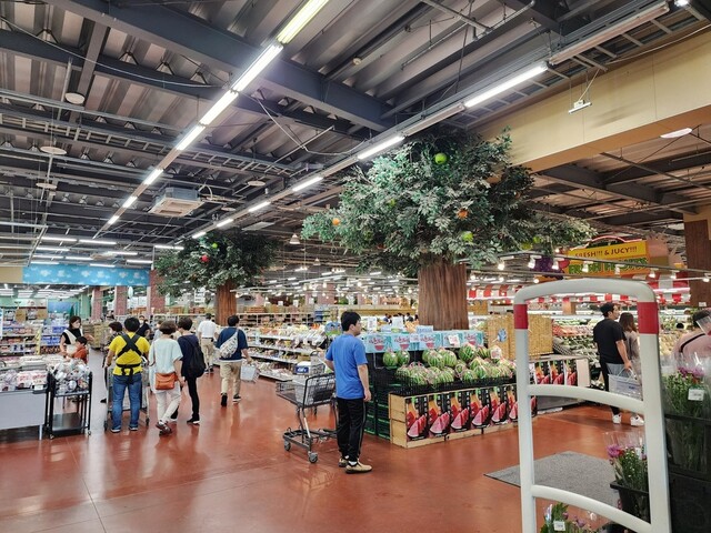 PLANT-5 大玉店（プラントファイブ） - 杉田（その他）の写真