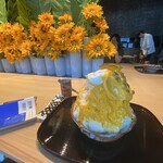 廚 くろぎ - 夏南瓜ん￥2,800