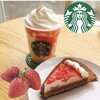 STARBUCKS - 