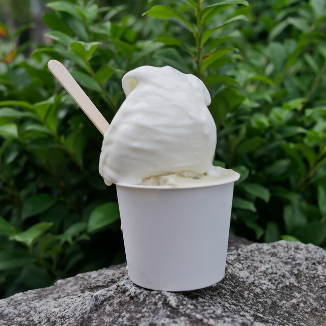 SUPER FRUTTO photo 4