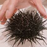 Stanza della SINCERITA - 