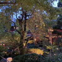 東京 芝 とうふ屋うかい - 