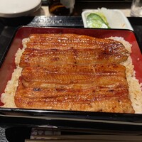 うなぎ 目白ぞろ芽 - 