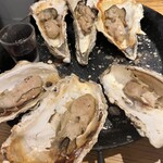 OYSTERS,INC. - 