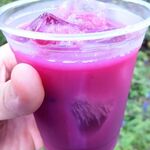 出山果樹園 - 絶品の生ブドウジュース（400円）、素晴らしいのひと言です